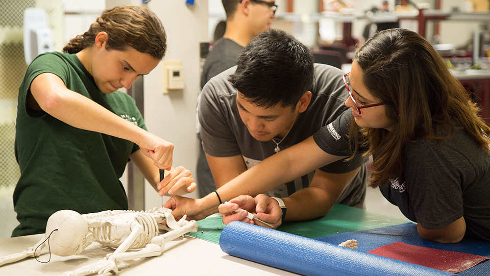 Students working with toy skeleton for prototype of design solution